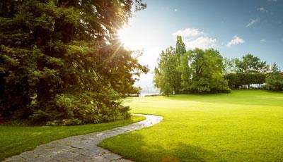 a path in a sunny green tree filled park